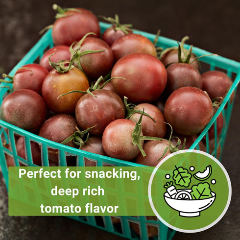 Packet (1) Sow Right Seeds - Black Cherry Tomato Seeds for Planting - Non-GMO Heirloom with Instructions to Plant a