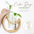 Plant Propagation stations, Crescent Moon Table Terrarium Stand for Indoor houseplants, Wooden Wall Boho Hanging
