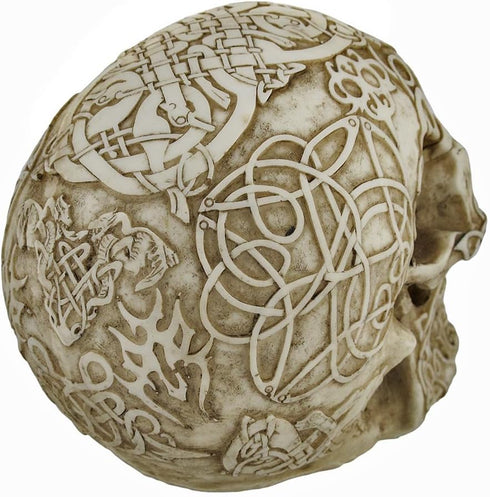 Celtic Owl Knotwork Human Skull Statue Pagan Private Label