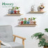 Set 3 Glass Propagation Station for Plant: Mushroom Planter with Wooden Stand for Home Office Decor - Unique