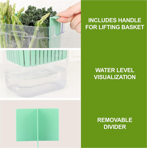 2 Pack 3 Fresh Herb Keeper for Refrigerator, Clear BPA-Free Herb Saver, Storage Container for Cilantro, Parsley, Thyme