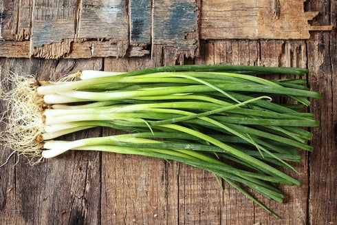 250+ Seeds Bunching Green Onions Scallions Seeds for Planting Perennial Vegetable Garden Spring Onions Non-GMO