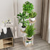 5 5 AZERPIAN Plant Stand Indoor Tier Metal Plant Shelf for Multiple Plants Corner Tall Flower Holders for Living Room