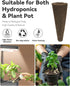 Hydroponics(8-Pod) Gourmet Herb Seed Pod Kit Compatible with AeroGarden, idoo, Ahopegarden, Gardencube with Basil