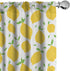 Ambesonne Lemons Window Curtains, 2-Panel Set with Rod Pocket, Modern Summer Citrus Fruits Illustration, 28" x 63",