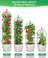 2 Pack 6Ft MYMULIKE Garden Trellis for Climbing Plants Outdoor & Indoor - Tall Rustproof Plant Support Cage for Vines