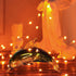 1 Pack 3*AAA Decoration(5m/16ft Ariceleo Mini Halloween Fairy Lights Battery Operate, Copper Wire Night Lights Battery