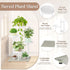 4 iDavosic.ly Tier Plant Stand Indoor, Tiered Corner Flower Holder Shelf Outdoor, Metal Tall Orchid Display Rack