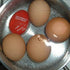 Norpro Egg Perfect Timer - The Ultimate Boiling Companion