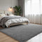 Zentavio Area Rugs for Living Room Large Rugs for Bedroom 6x9 Carpet