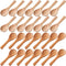 30 Pcs Small Wooden Spoons, 3. 5 Inch Mini Wood Natural Spoons
