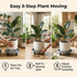 Tulpeed 5 Pack 12 Inch Rolling Plant Stand with Wheels Plant Caddy with Wheels Heavy Duty Plant Dolly Roller Base