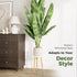 Leaf&lull Tall Plant Stand Indoor Small Plant Table for Large Plants Wooden Plant Stool Plant Holder for Living Room