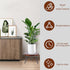 ESEHGS 5-15 Inch Plant Stand Indoor Outdoor, Wooden plant Stool, Mid Century Plant Stand for Indoor Plants, Wood Modern