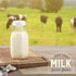 12 Oz 12 kitchentoolz Glass Creamer Bottle Square Glass Milk Bottle with Lids- Glass Bottles with Lids - Milk Container