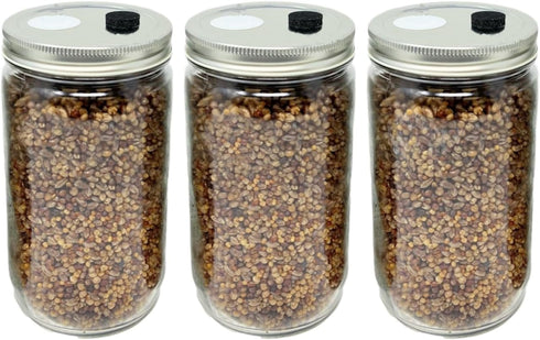 32oz 5-Grain (3-Pack) Myco Labs Premium Quick Colonizing Mushroom Spawn Jars