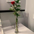 WGV Maria Bud Vase, 2" Width, 10" Height, Clear Slant Cut Opening Glass Floral Container for Decor