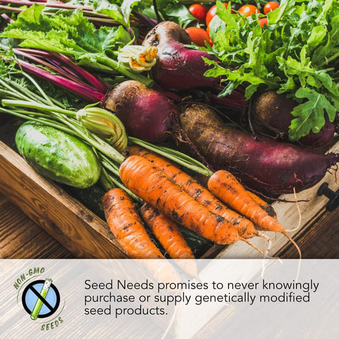(1 Pack) Seed Needs Carrot Seeds for Planting Rainbow Carrots - Non-GMO Heirloom & Untreated Veggie Seed to Grow a Home