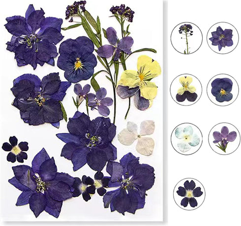 Flowers for Resin Model, Real Pressed Flowers Dry Leaves Bulk Natural Herbs