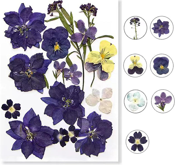 Flowers for Resin Model, Real Pressed Flowers Dry Leaves Bulk Natural Herbs