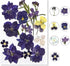 Flowers for Resin Model, Real Pressed Flowers Dry Leaves Bulk Natural Herbs