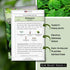 Packet (1) Sow Right Seeds - Viroflay Spinach Seed for Planting - Non-GMO Heirloom with Instructions to Plant a