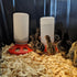 1-Quart Plastic Chicken Waterer and Chick Drinker | Durable Watering Container for Chickens, Ducks, Ducklings, Chicks