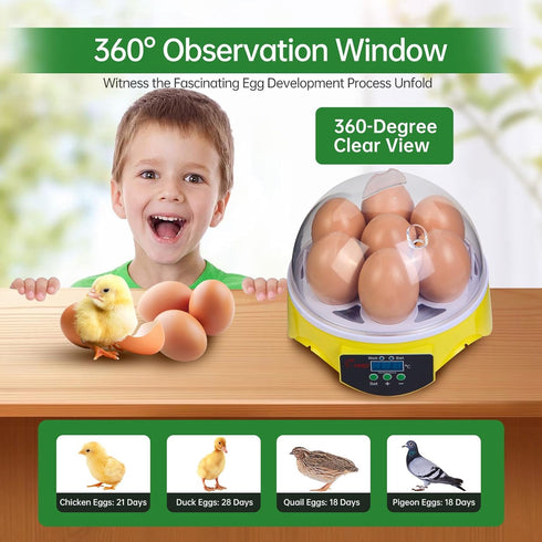 7-Egg 360 Mini Egg Incubator with View, Educational Hatching Kit for Kids, Classrooms & Families, Automatic Temperature