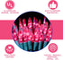 XMASHOME 63.8FT 300 Count (150L*2pcs) Green Wire Pink String Lights, Incandescent Christmas Lights