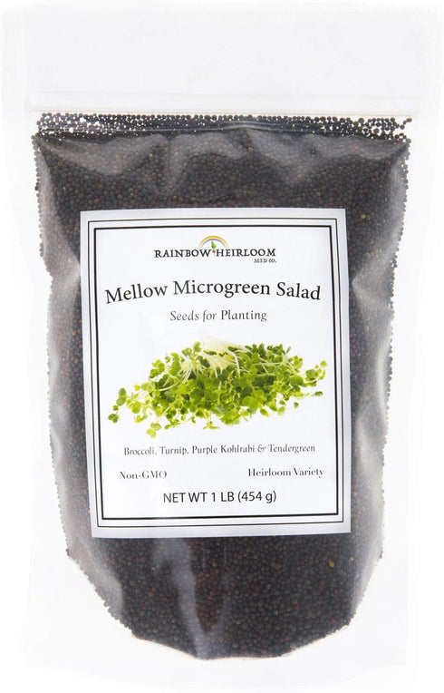 Rainbow Heirloom Seed Co. Mellow Microgreen Salad Mix | Contains Purple Kohlrabi, Tendergreen, Turnip & Broccoli