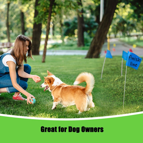 Zozen 100Pack Marking Flags: Orange, Green, Blue Marker Flags for Lawn, 15x4x5 Inch Landscape Flags