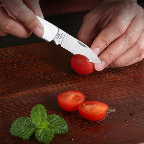 Kocpudu Paring Knife, All Steel Foldable Fruit Knife, Small and Easy to Carry, 3 Pieces