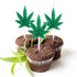 Lothee 5 Pieces Leaf Shape Candles, Weed Leaf Cupcake Candles, Pot Leaf Tealight Candles for Birthday Celebrations