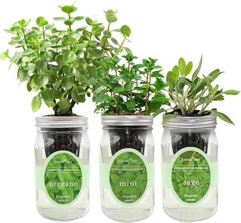Hydroponic Herb Growing Kit Set, Self-Watering Mason Jar Herb Garden Starter Kit