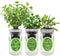 Hydroponic Herb Growing Kit Set, Self-Watering Mason Jar Herb Garden Starter Kit