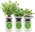 Hydroponic Herb Growing Kit Set, Self-Watering Mason Jar Herb Garden Starter Kit
