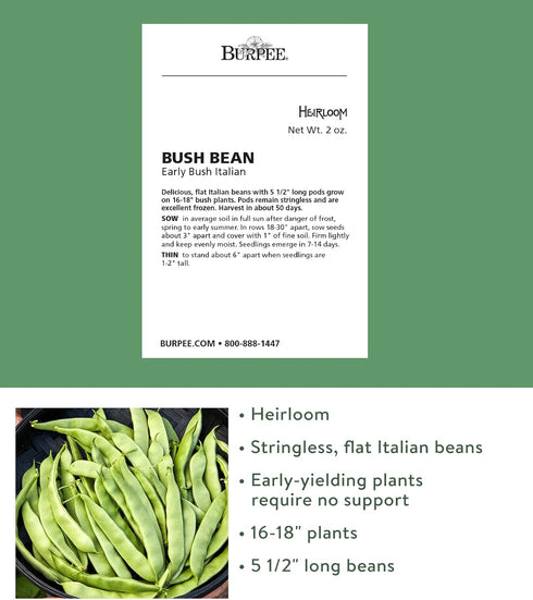 2 Burpee Early Italian Bush Bean Seeds ounces of seed