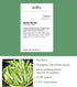 2 Burpee Early Italian Bush Bean Seeds ounces of seed