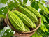 Generic 25 Organic Bitter Melon Seeds for Planting Non-GMO Bitter Gourd Kh Qua M Tri Di Heirloom Ampalaya Seeds