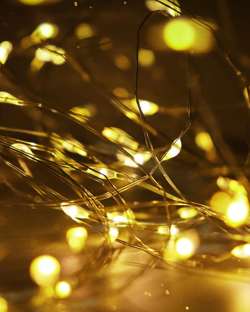 Blingstar USB Powered Fairy Lights, 2 Pack 33Ft 100 LED Mini String Lights for Indoor Decoration, Warm White