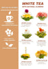 6 1000ml 33.8oz TETWIN Glass Teapot Including Blooming Flower Tea Balls, Stovetop Safe Tea Pot with Removable Infuser