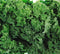 Axel's Garden Seeds Dwarf Siberian Kale Seeds for Planting Plant & Grow Heirloom Non-GMO Dwarf
