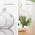 WGV Clear Glass Hanging Terrarium Globe, 7" Width, 8" Height, DIY Air Succulent Planter, 1 Piece