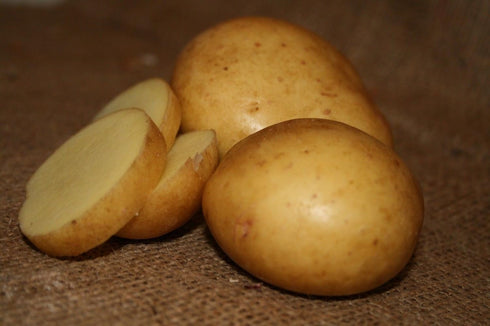 Unknown 5 Lb, Yukon Gold Potato Seed/Tubers, Yellow-Flesh Standard, United States