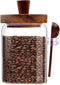 Taefaba Spice Jars Overnight Oats Containers with Airtight Lid and Wooden Spoon,17 OZ