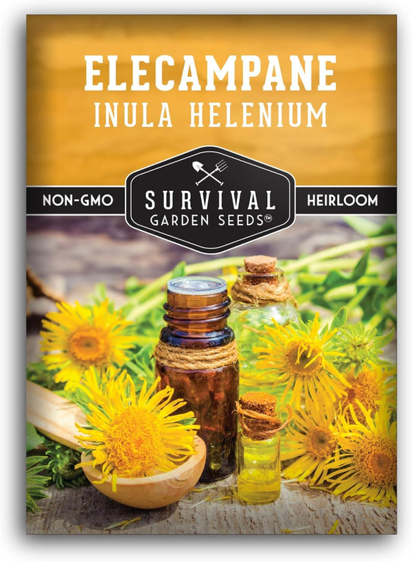 Elecampane Seeds for Planting - Traditional Medicinal Herb (Inula helenium) with Tall