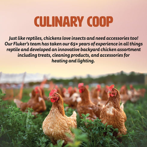 150 Fluker's Culinary Coop Ceramic Heat Emitter for Chicken Coop or Outdoor Animals, Watt
