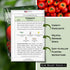 Packet (1) Sow Right Seeds - Marglobe Tomato Seeds for Planting - Non-GMO Heirloom with Instructions to Plant and Grow