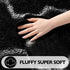 5x8 EVOIONOS Washable Large Area Rug Living Room, Fluffy Shag Rug Bedroom Ultra Soft Plush Non Slip Carpet Indoor Floor