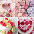 6Pcs Stainless Steel Cake Flower Nail Trays, Holder for Icing Flowers Decoration, DIY Cake Baking Tools, 2 Size